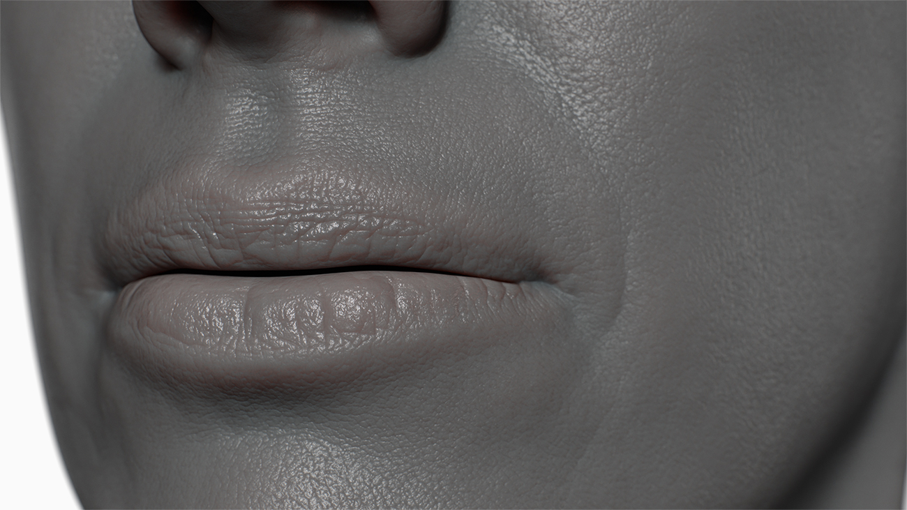 High resolution skin displacement maps