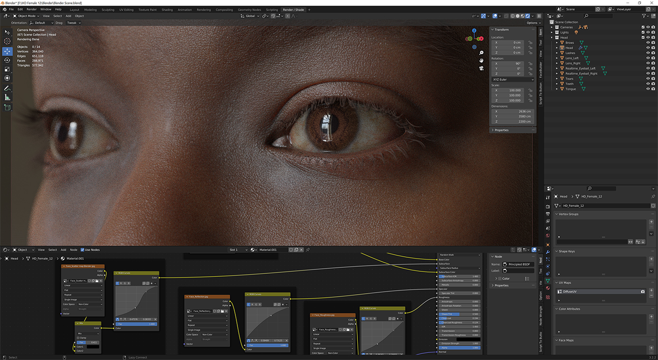 Download blender render scene with skin shader and HDRI lighting