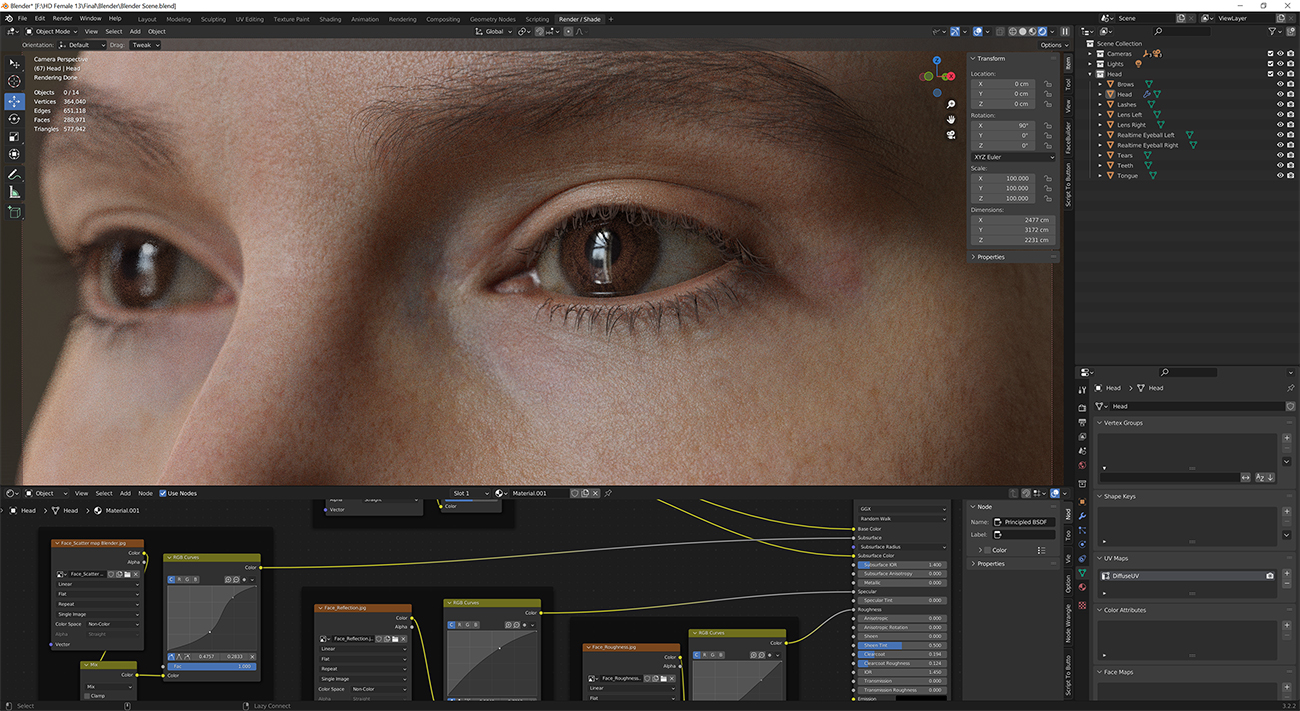 Download blender render scene with skin shader and HDRI lighting