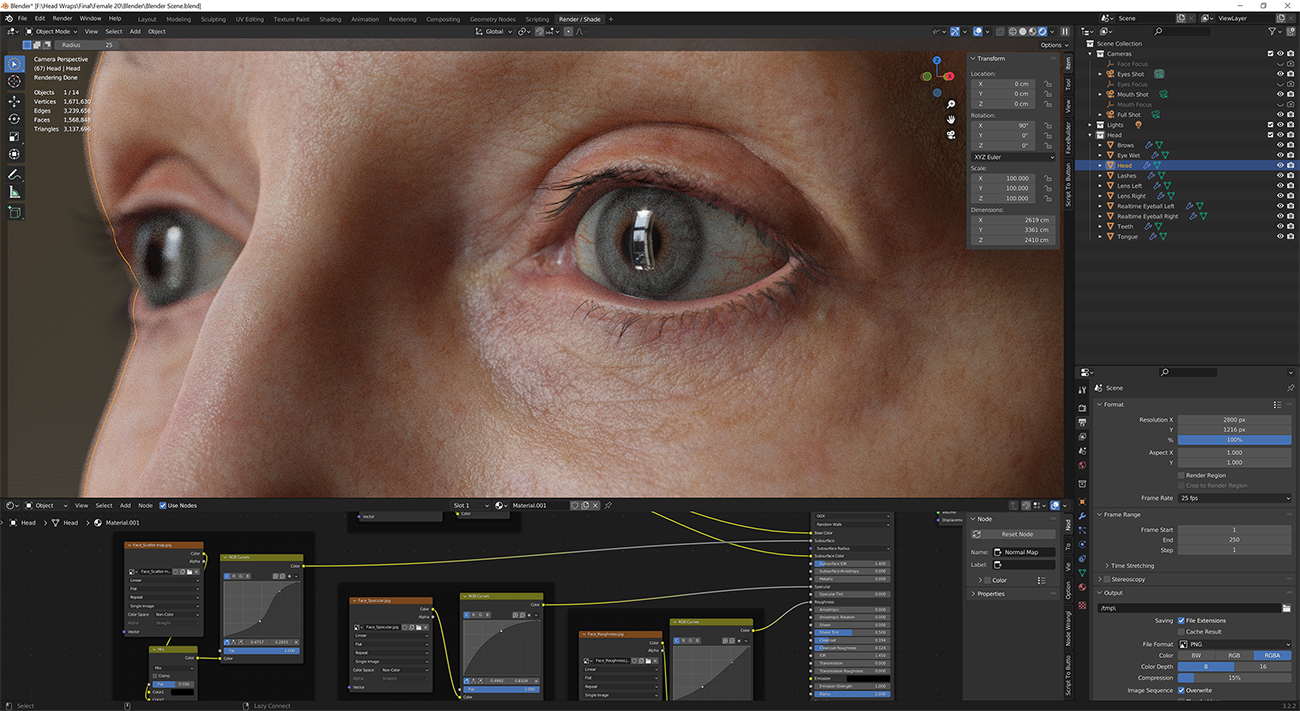 Download blender render scene with skin shader and HDRI lighting