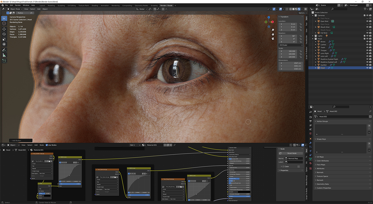 Download blender render scene with skin shader and HDRI lighting