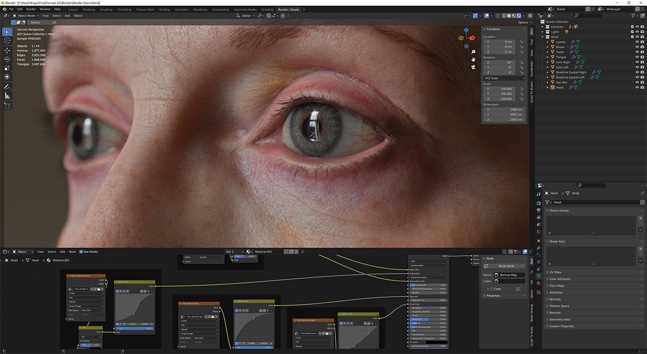 Download blender render scene with skin shader and HDRI lighting