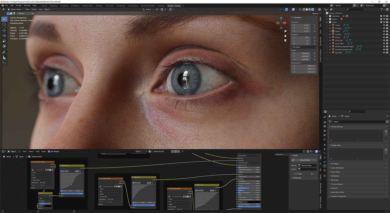 Download blender render scene with skin shader and HDRI lighting