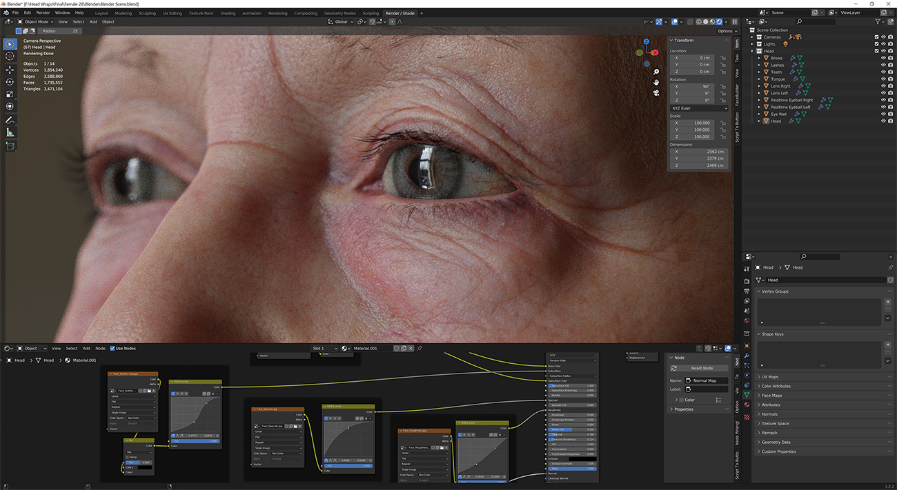 Download blender render scene with skin shader and HDRI lighting