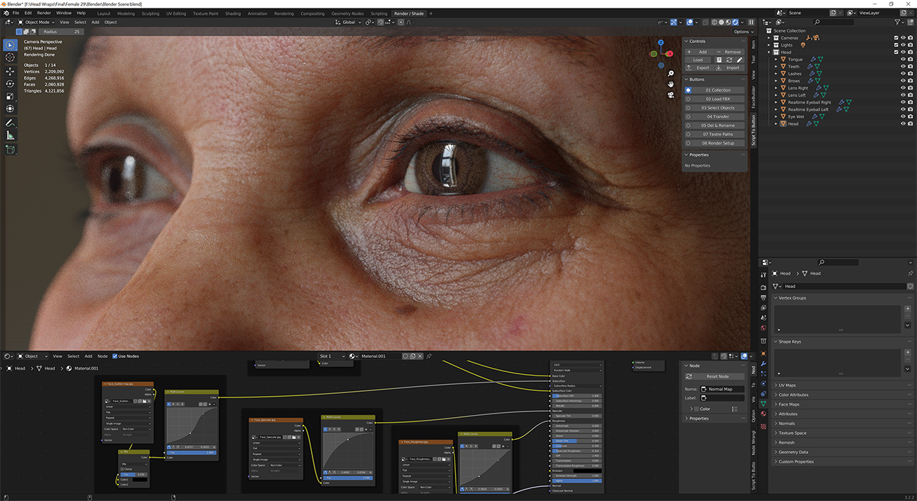 Download blender render scene with skin shader and HDRI lighting