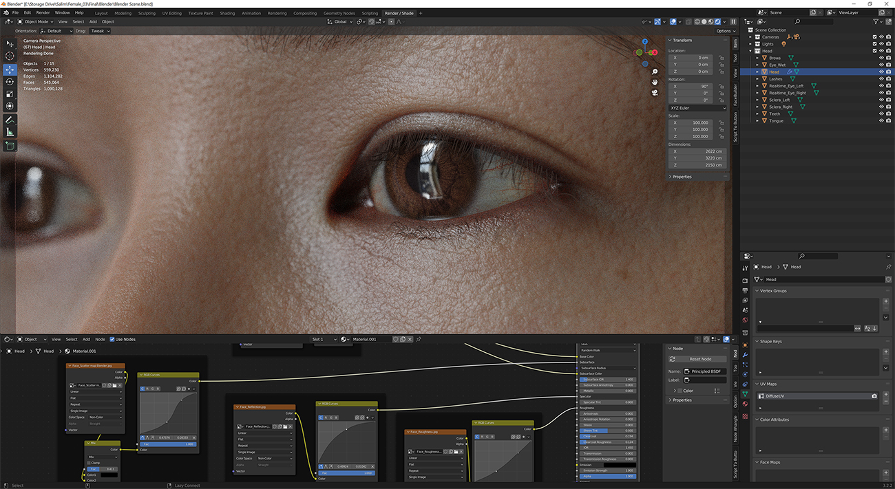 Download blender render scene with skin shader and HDRI lighting