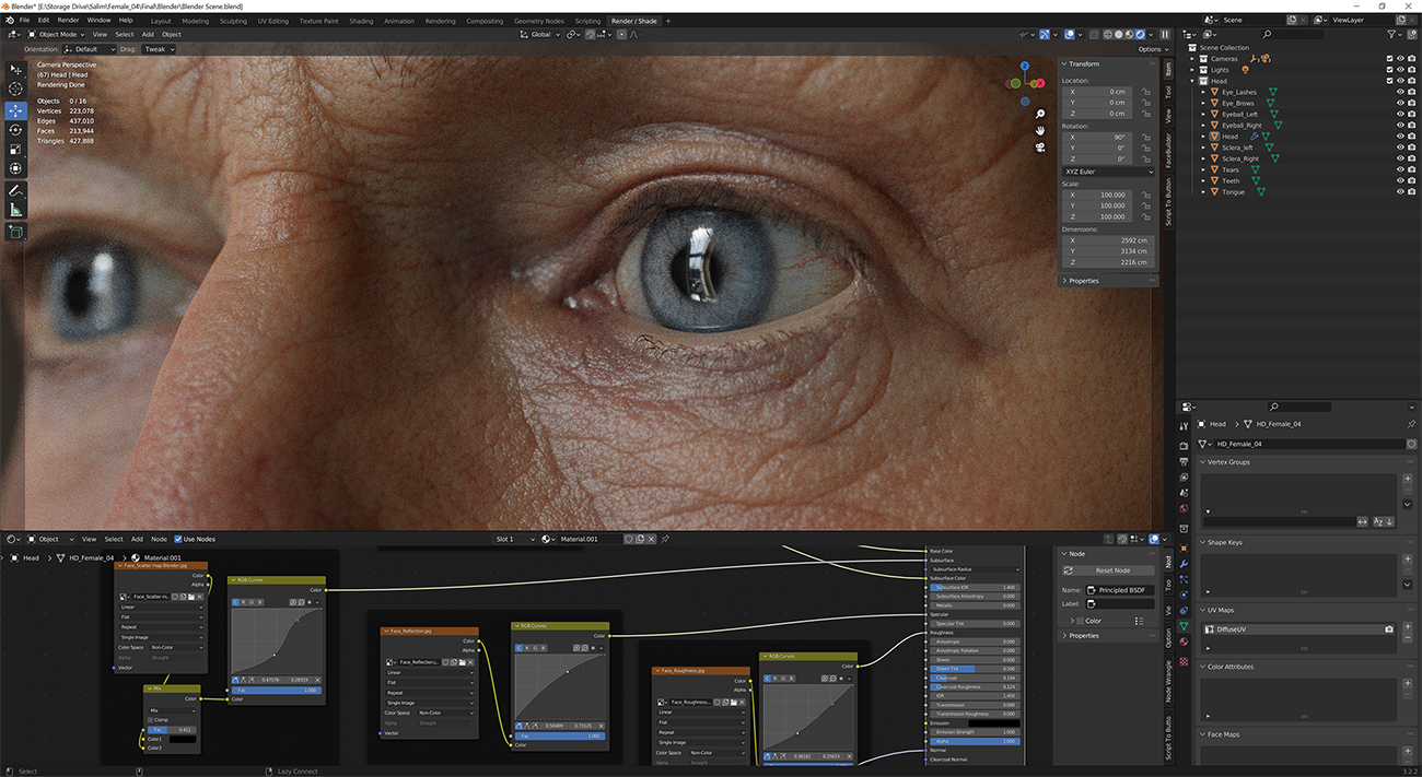 Download blender render scene with skin shader and HDRI lighting