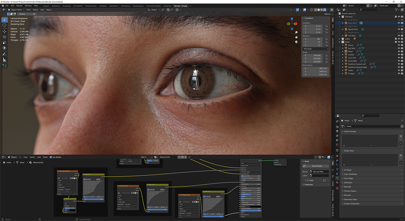 Download blender render scene with skin shader and HDRI lighting