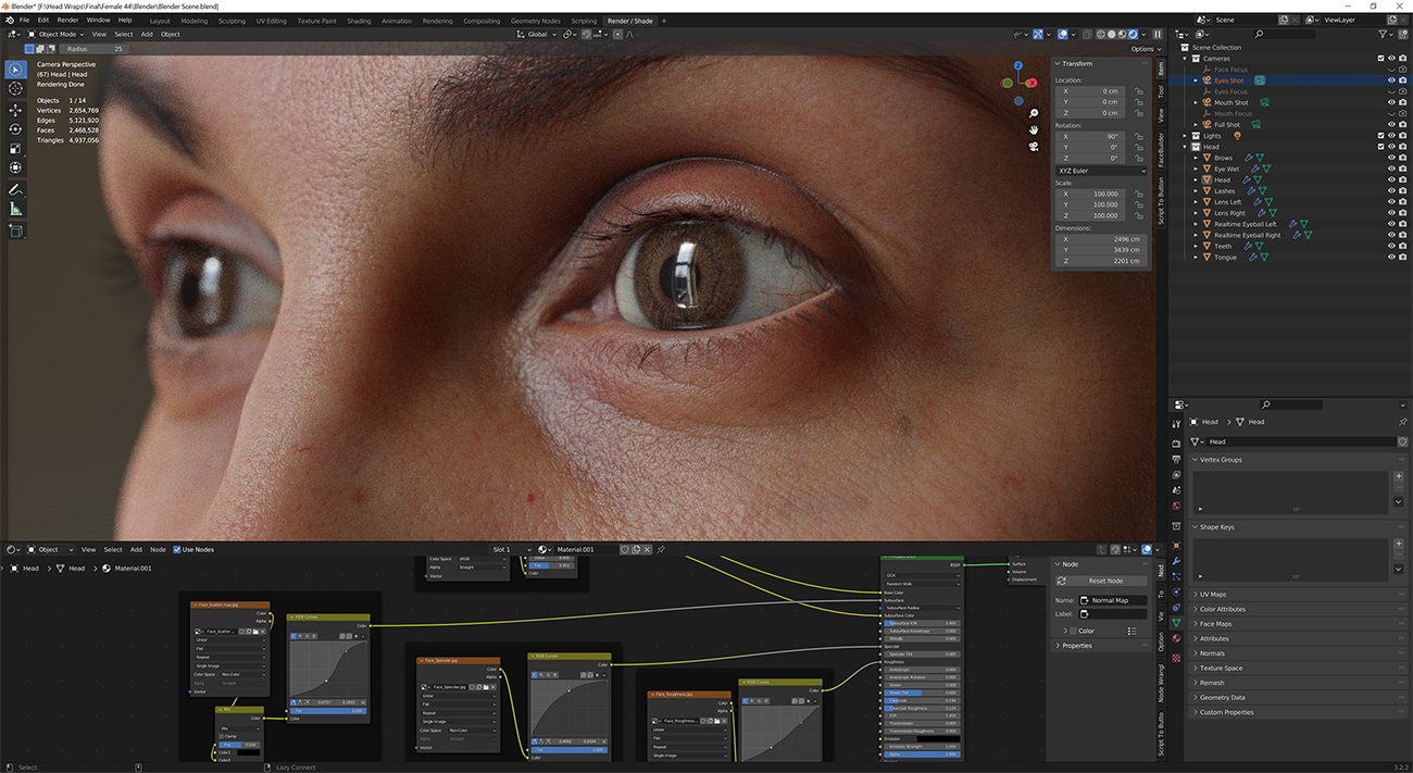 Download blender render scene with skin shader and HDRI lighting