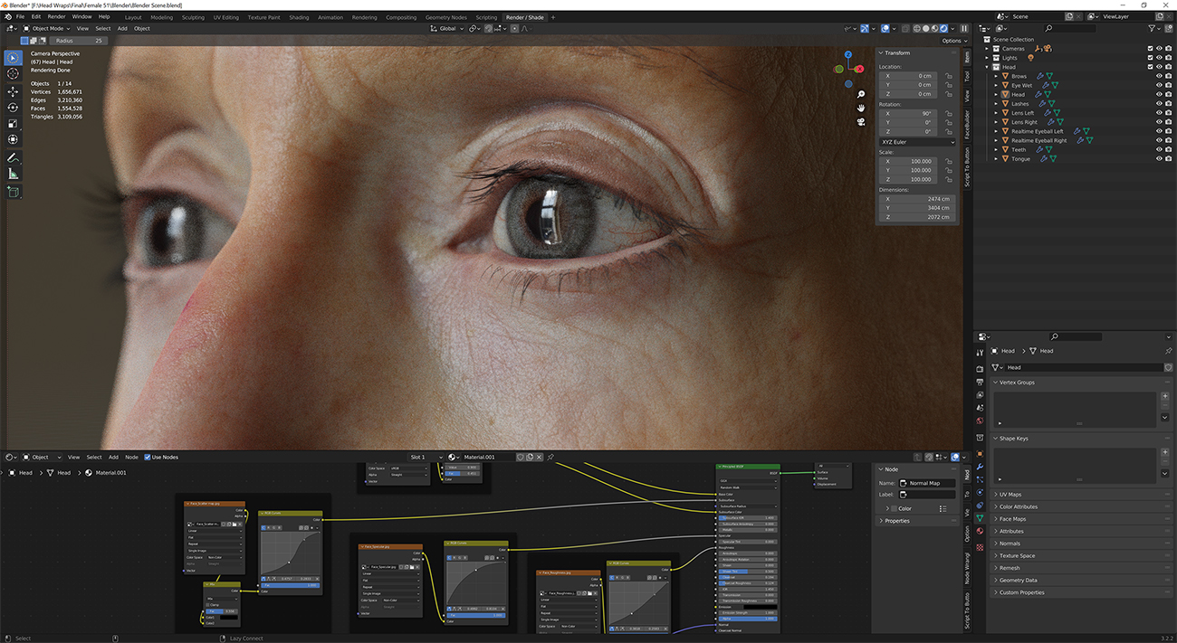 Download blender render scene with skin shader and HDRI lighting