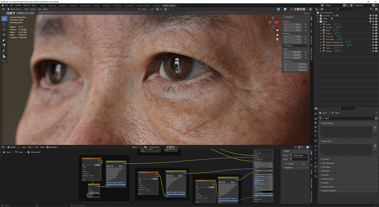 Download blender render scene with skin shader and HDRI lighting