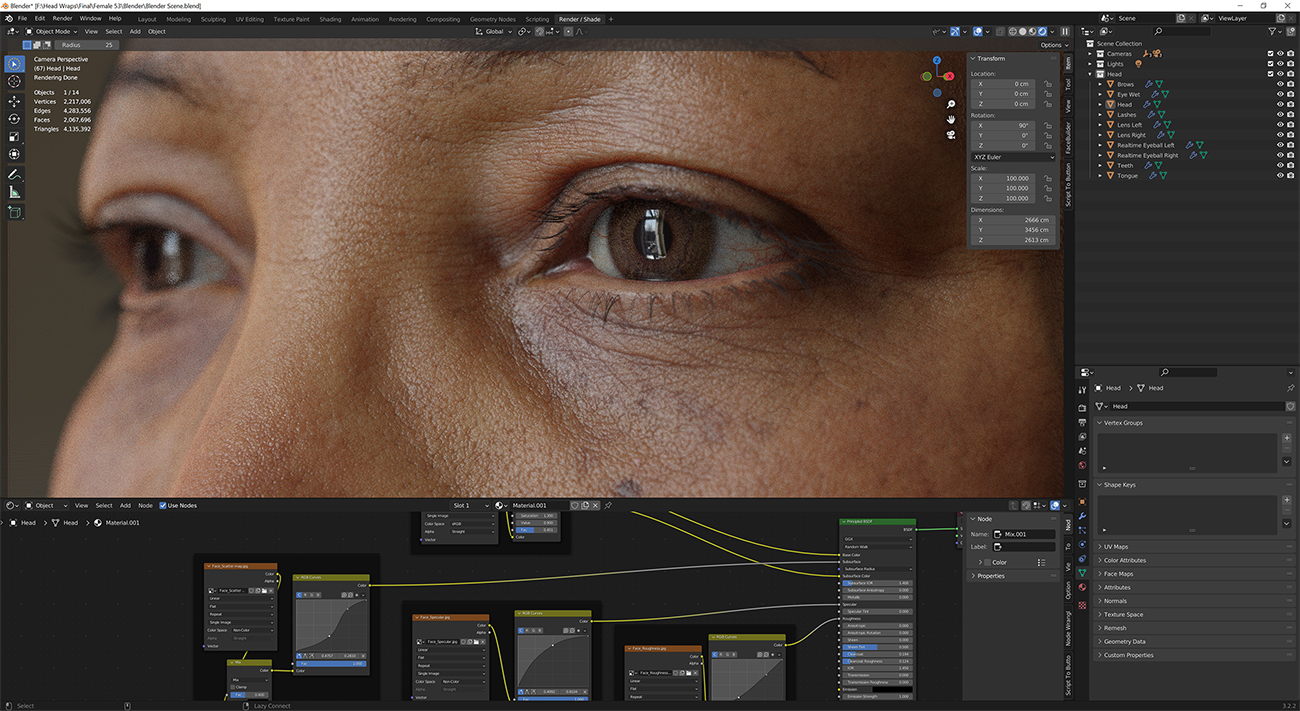 Download blender render scene with skin shader and HDRI lighting