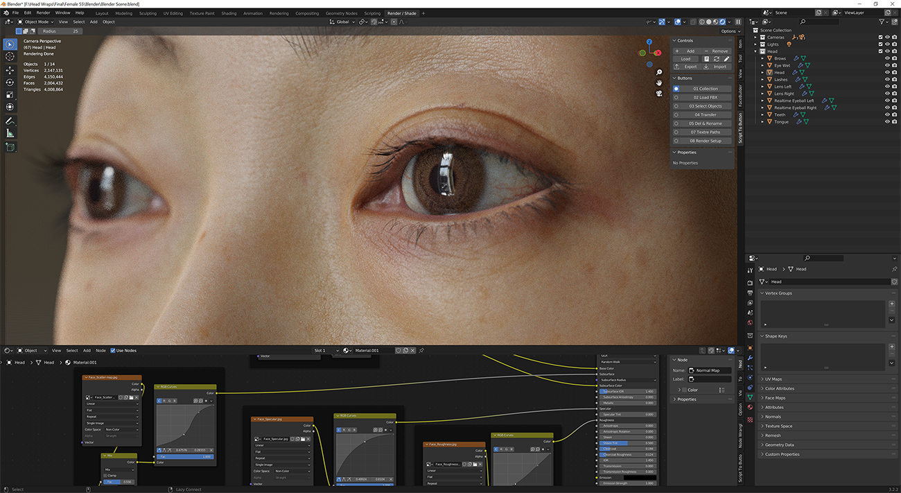 Download blender render scene with skin shader and HDRI lighting