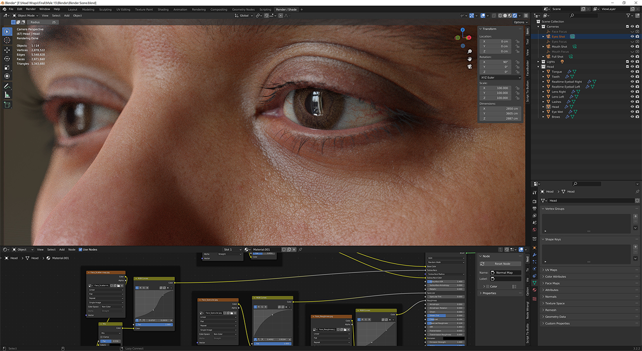 Download blender render scene with skin shader and HDRI lighting