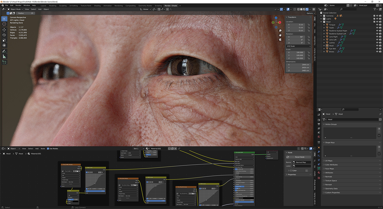 Download blender render scene with skin shader and HDRI lighting