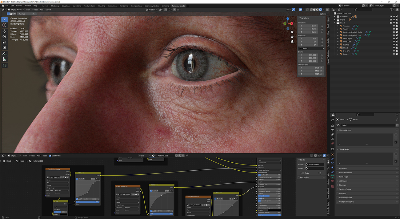 Download blender render scene with skin shader and HDRI lighting