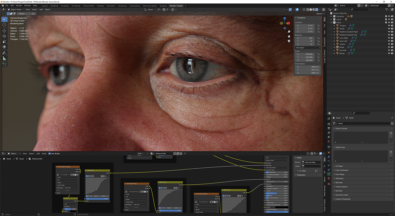 Download blender render scene with skin shader and HDRI lighting