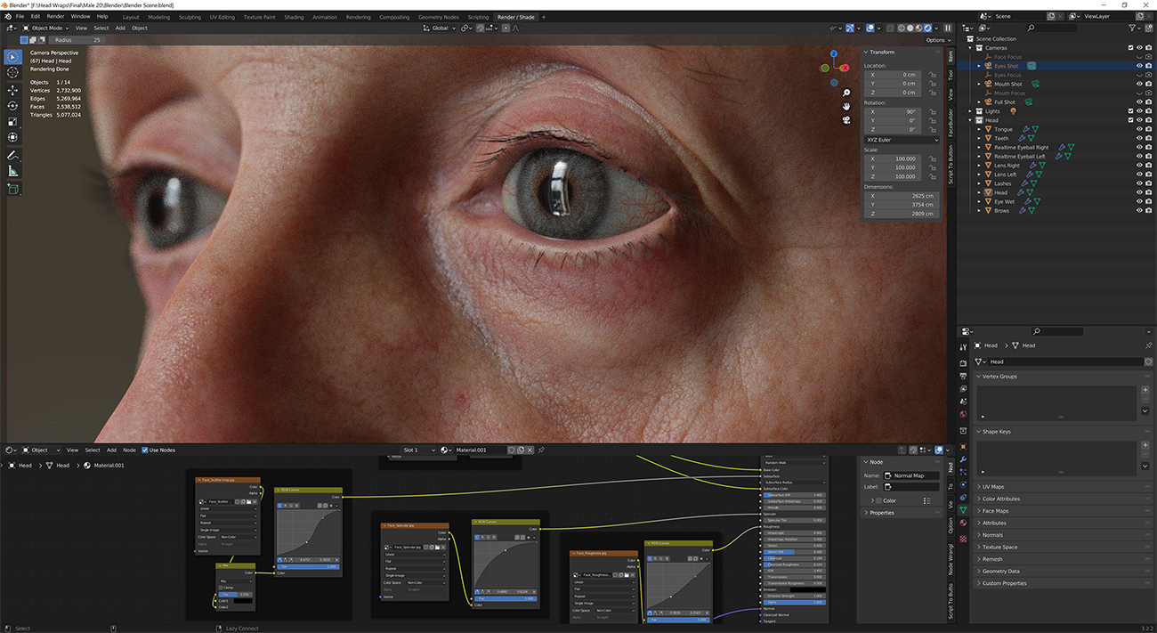 Download blender render scene with skin shader and HDRI lighting