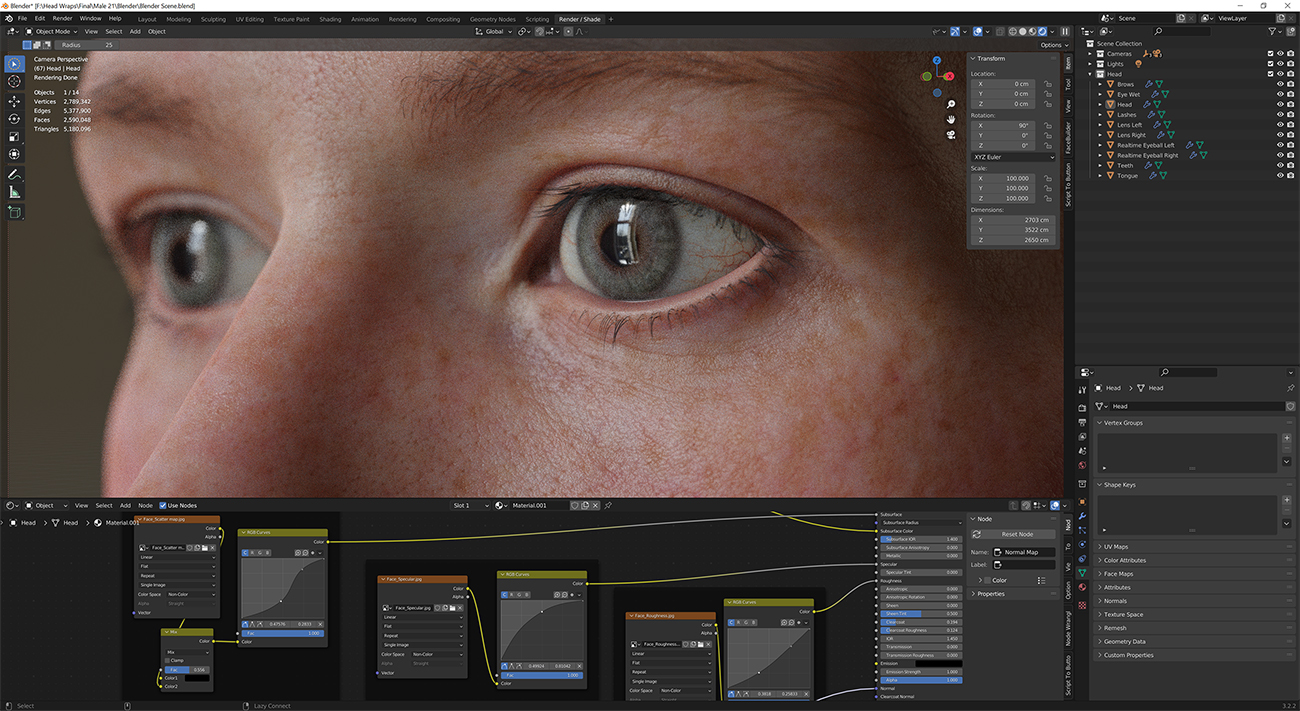 Download blender render scene with skin shader and HDRI lighting