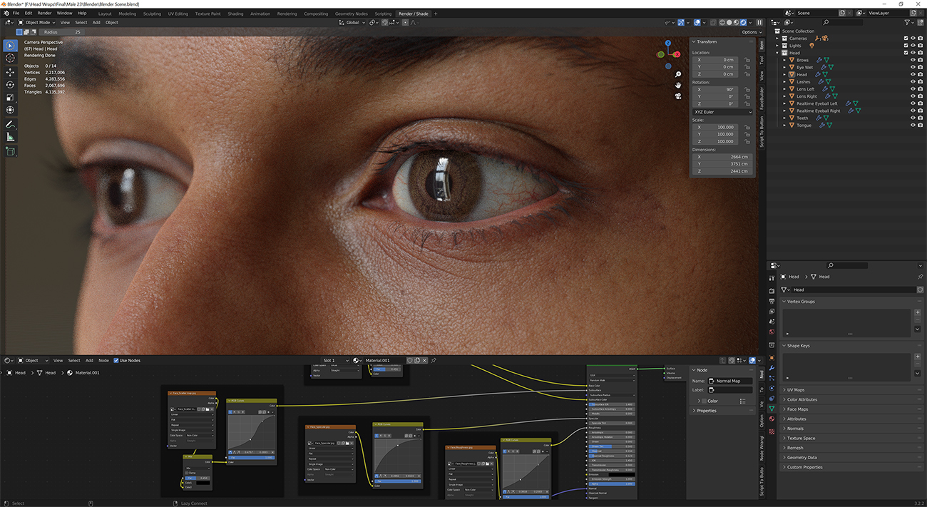 Download blender render scene with skin shader and HDRI lighting