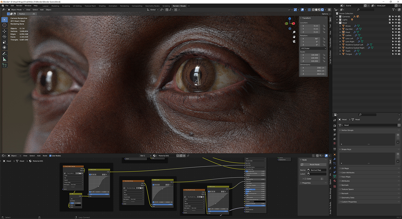 Download blender render scene with skin shader and HDRI lighting