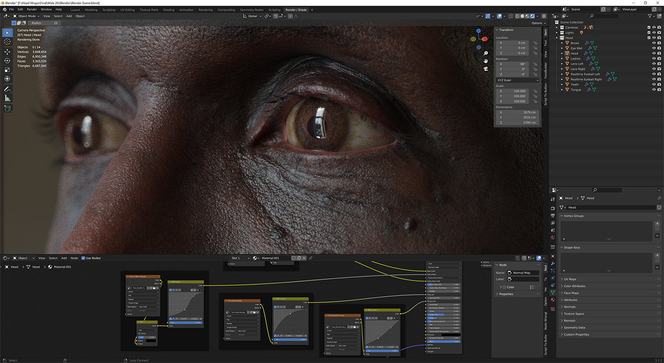 Download blender render scene with skin shader and HDRI lighting