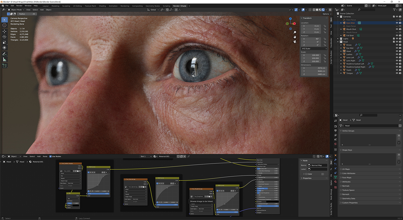 Download blender render scene with skin shader and HDRI lighting