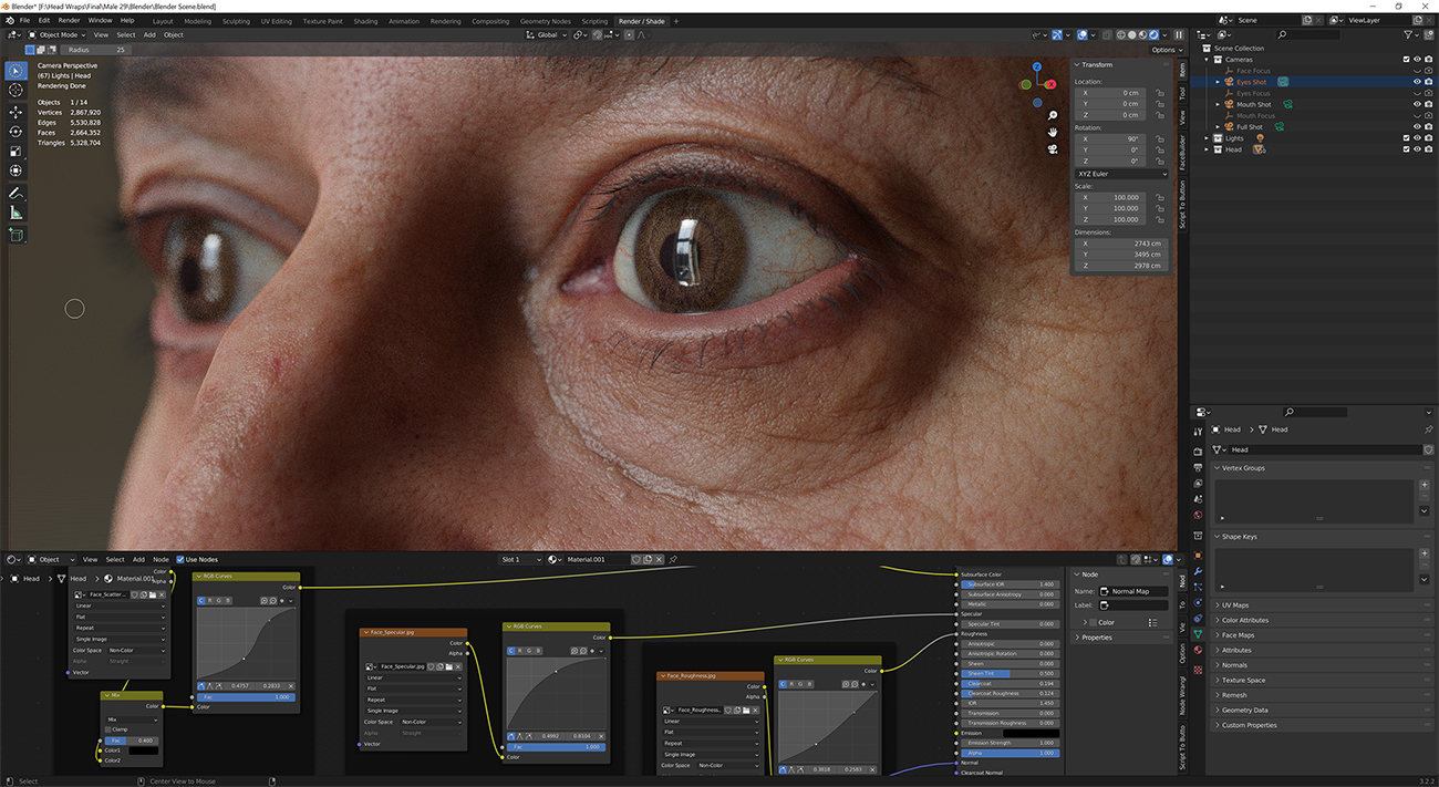 Download blender render scene with skin shader and HDRI lighting