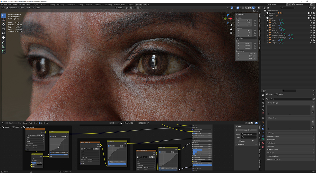 Download blender render scene with skin shader and HDRI lighting