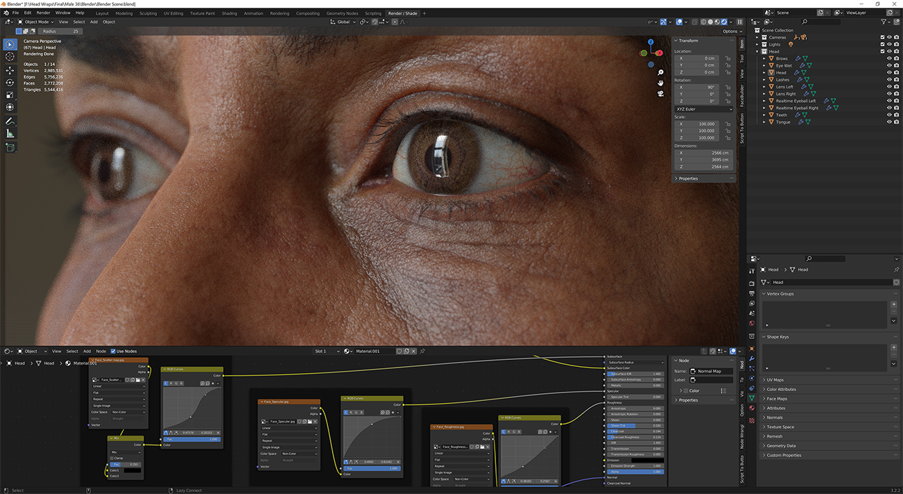 Download blender render scene with skin shader and HDRI lighting