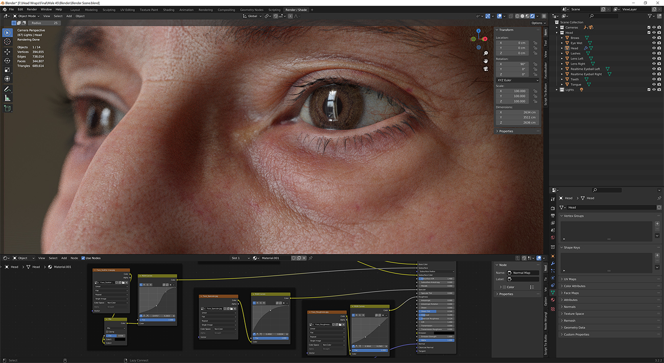 Download blender render scene with skin shader and HDRI lighting