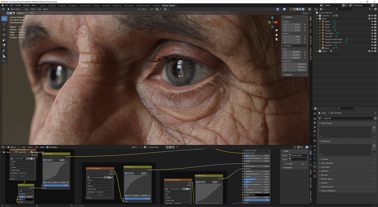 Download blender render scene with skin shader and HDRI lighting