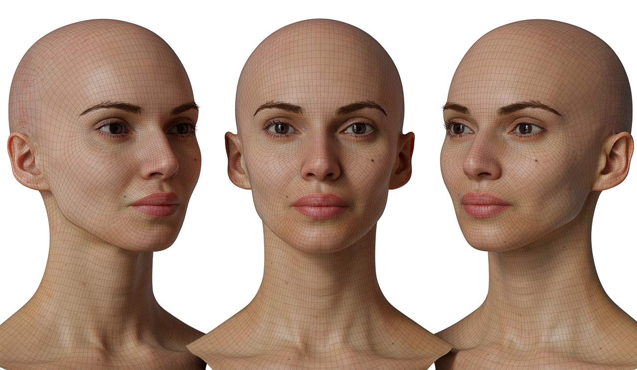 head model wireframe mesh