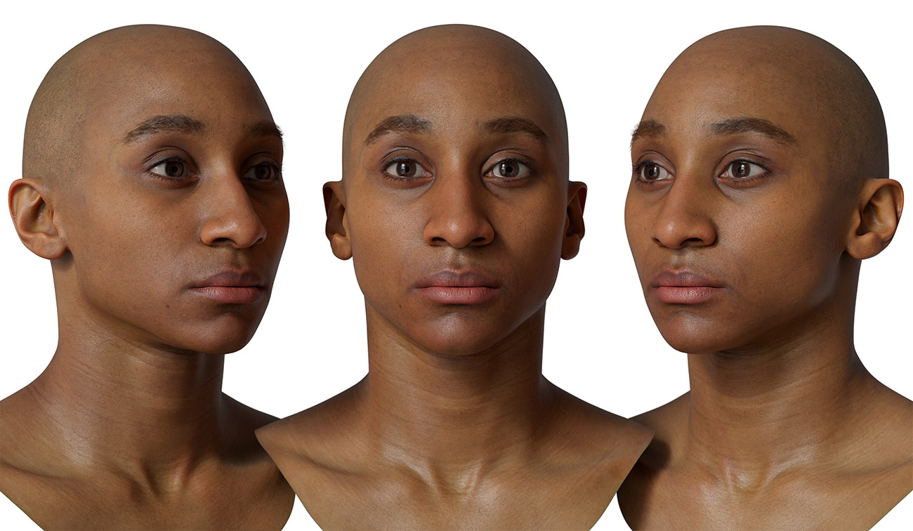 Male 3d head scan download