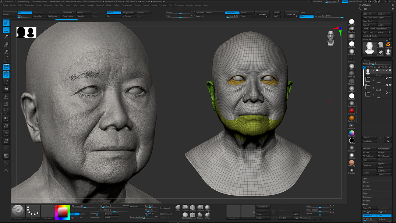 Download Zbrush head sculpt