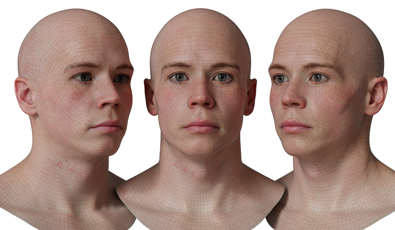 head model wireframe mesh