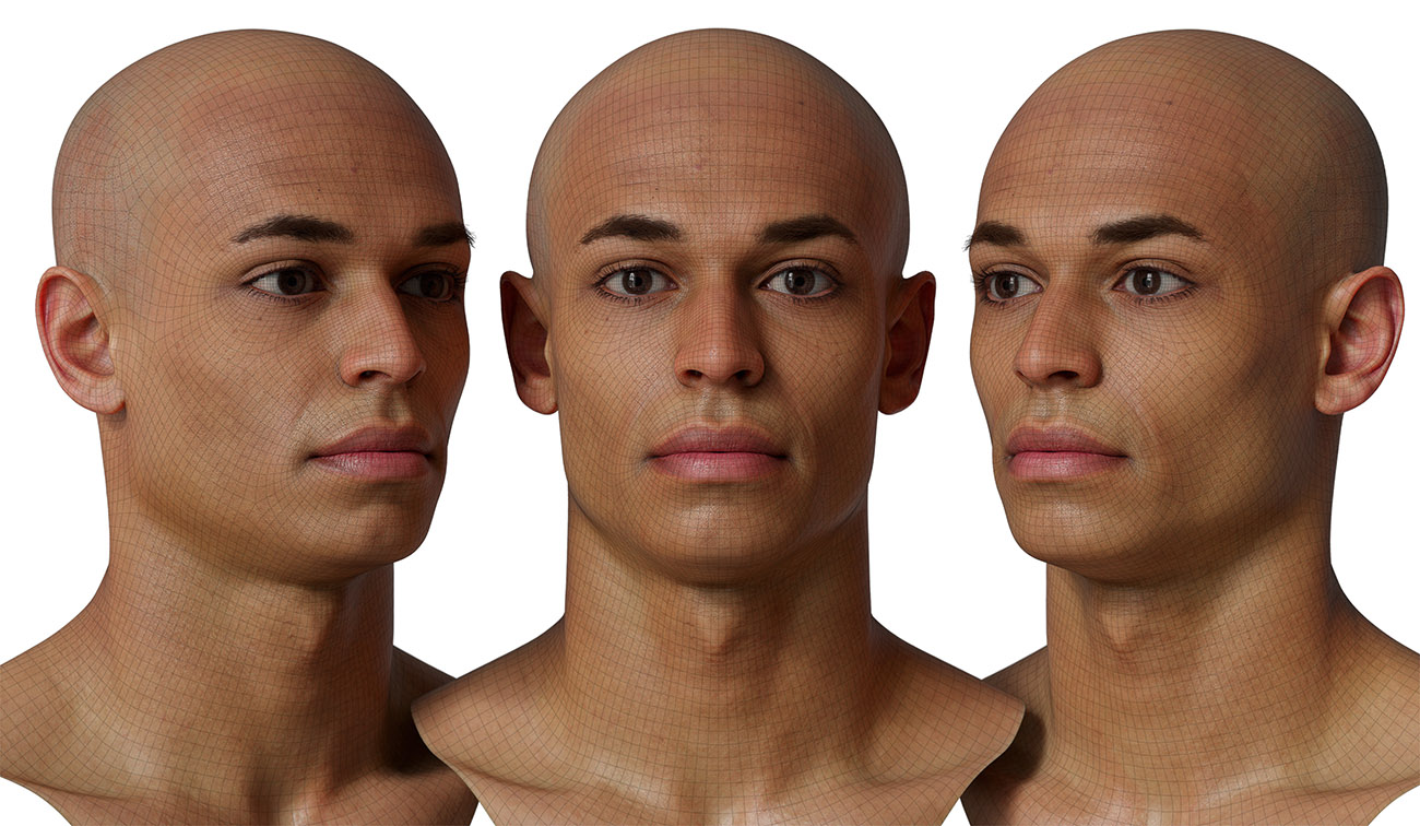 head model wireframe mesh