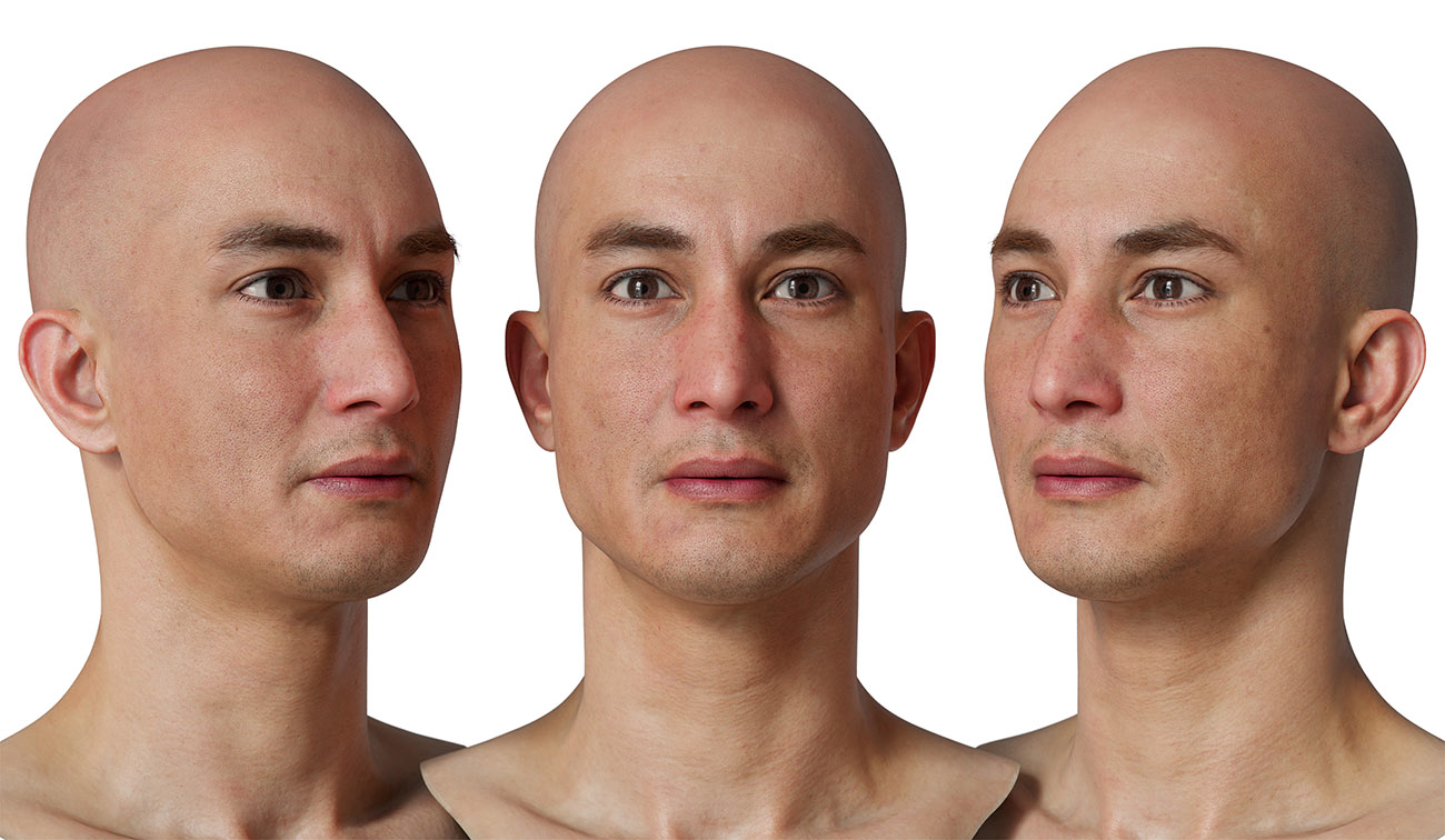 Male 3d head scan download