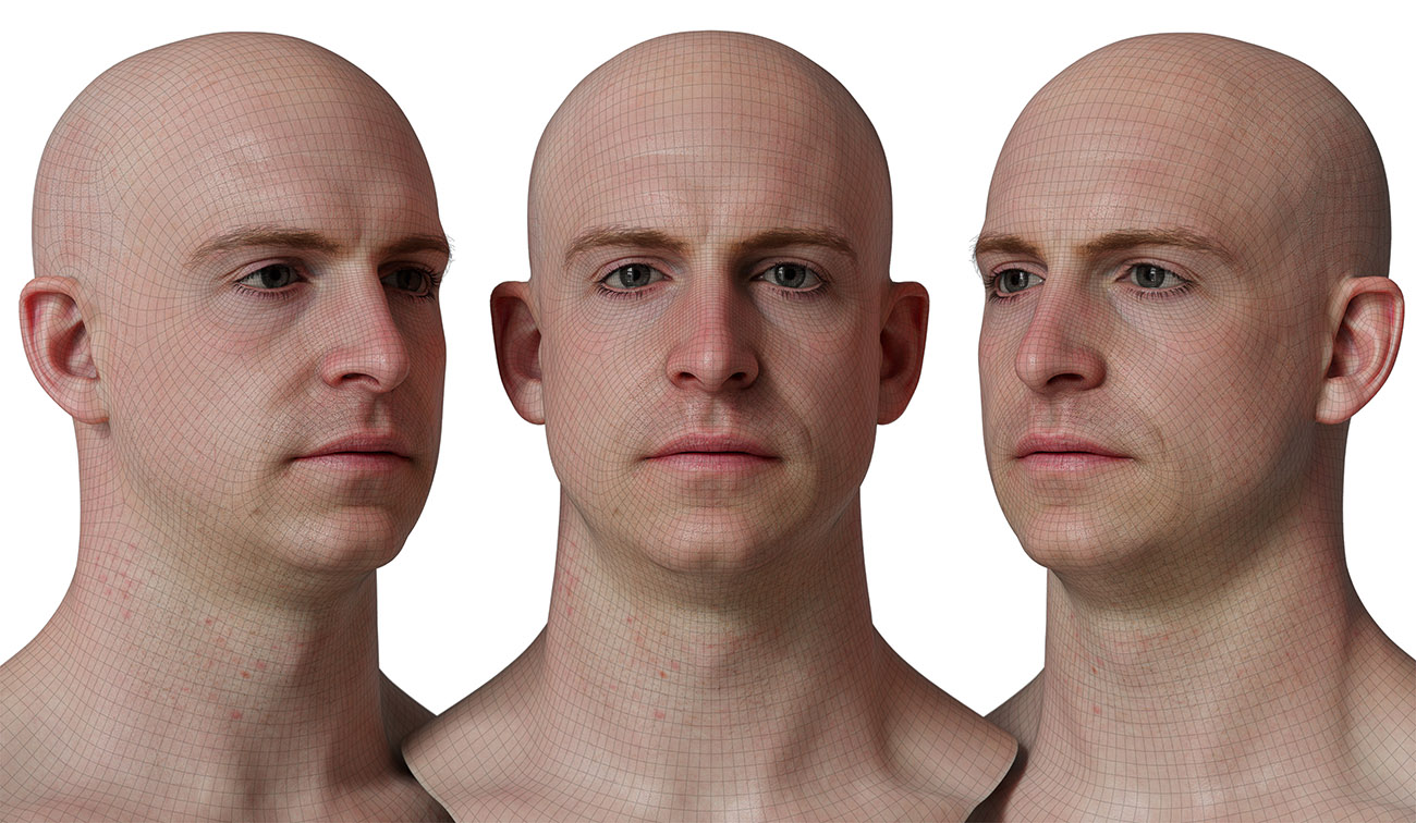 head model wireframe mesh