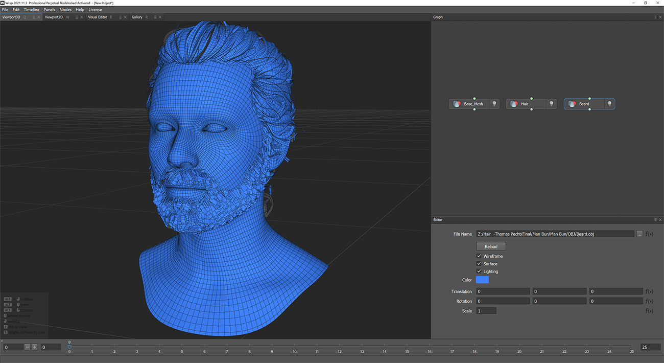 3D head scan hair 