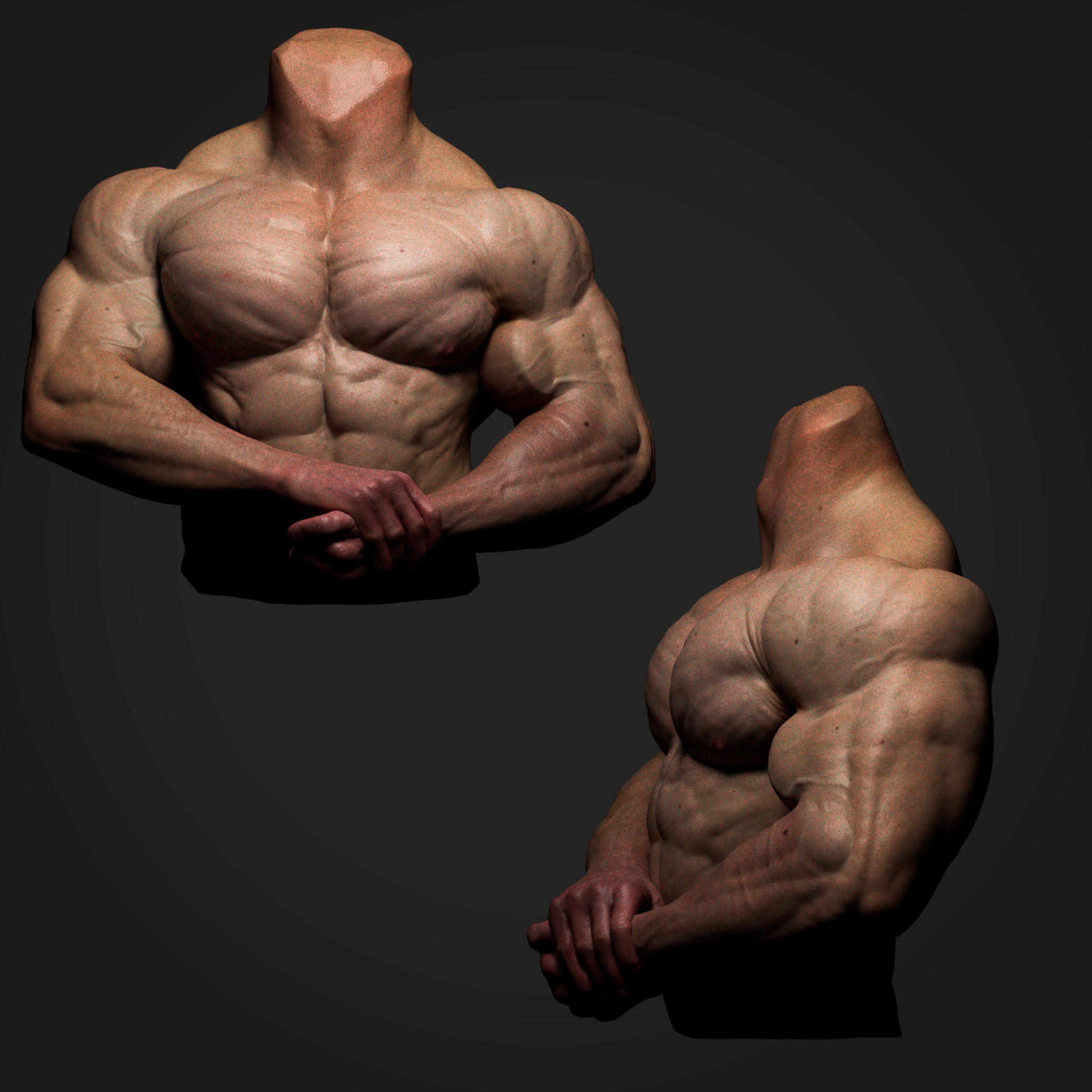 Zbrush anatomy study, muscles