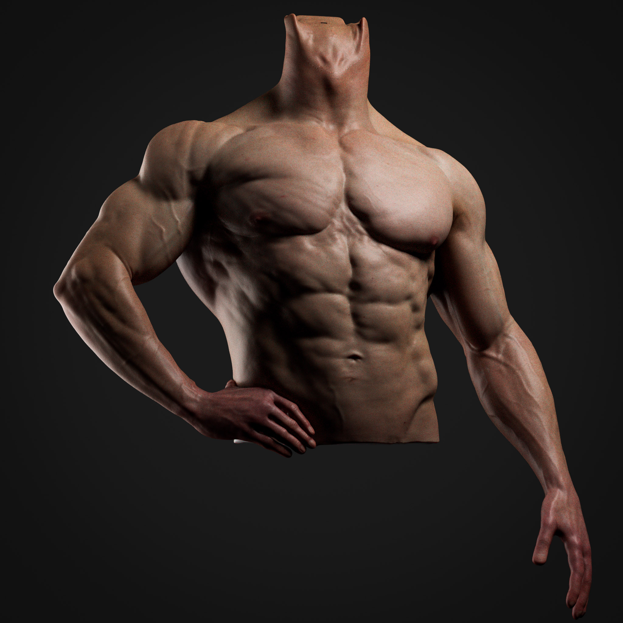 Zbrush anatomy study, muscles