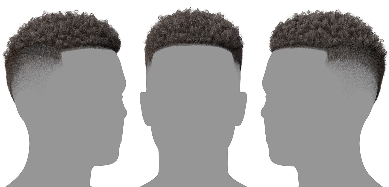 Download realistic Afro hair for blender