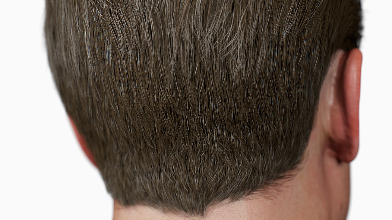 Realtime male polygon hair style download