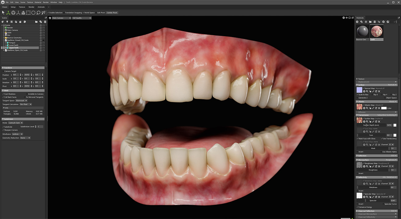 Marmoset Toolbag 3d teeth model download