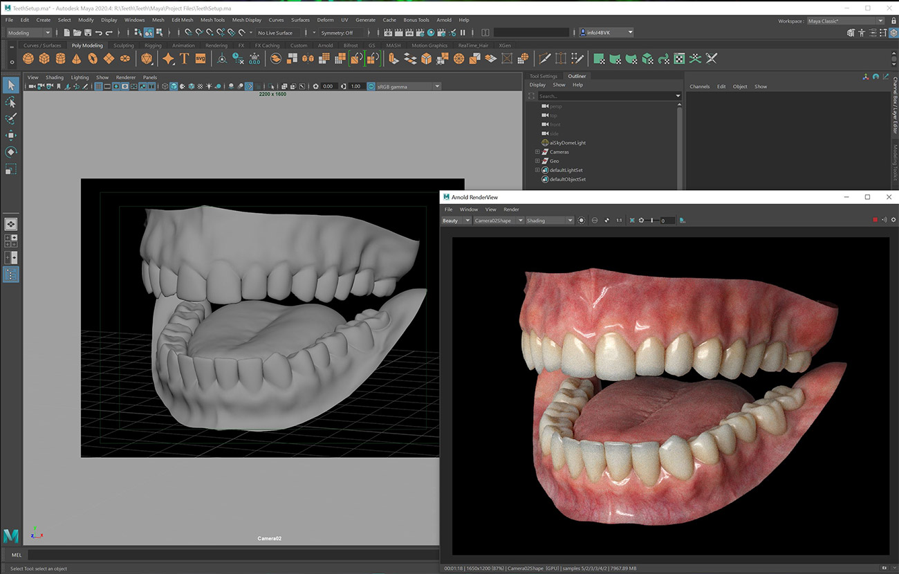Maya 3d teeth model realistic