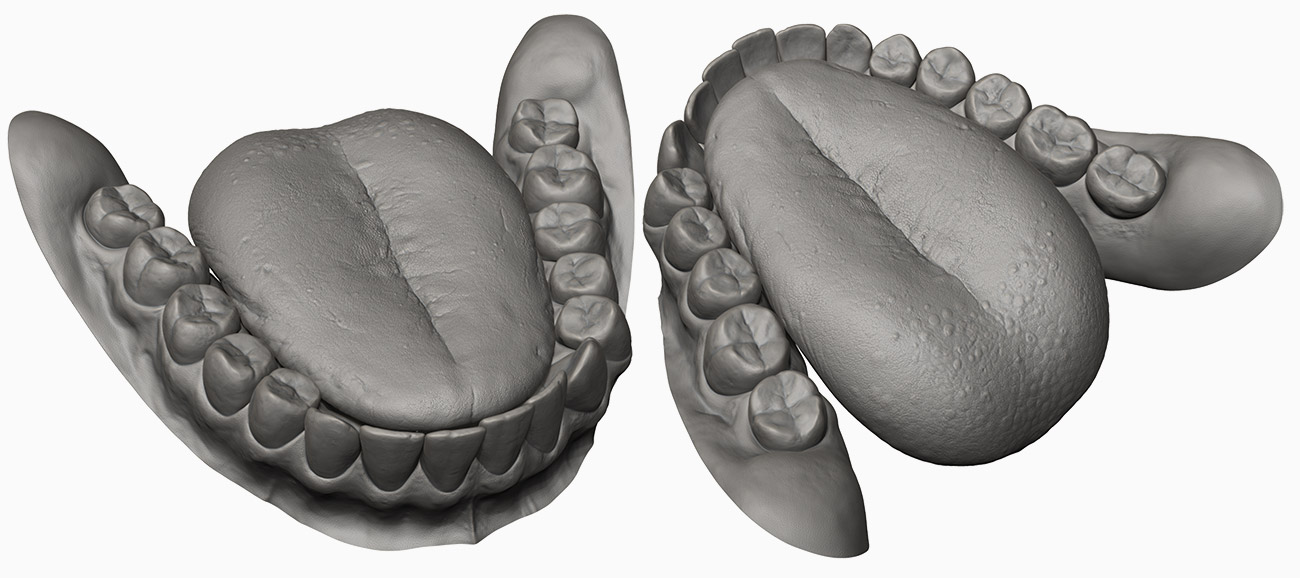 Tongue and teeth modelled in Zbrush 