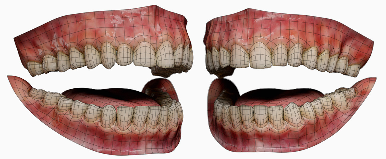 Teeth 3d wireframe model topology