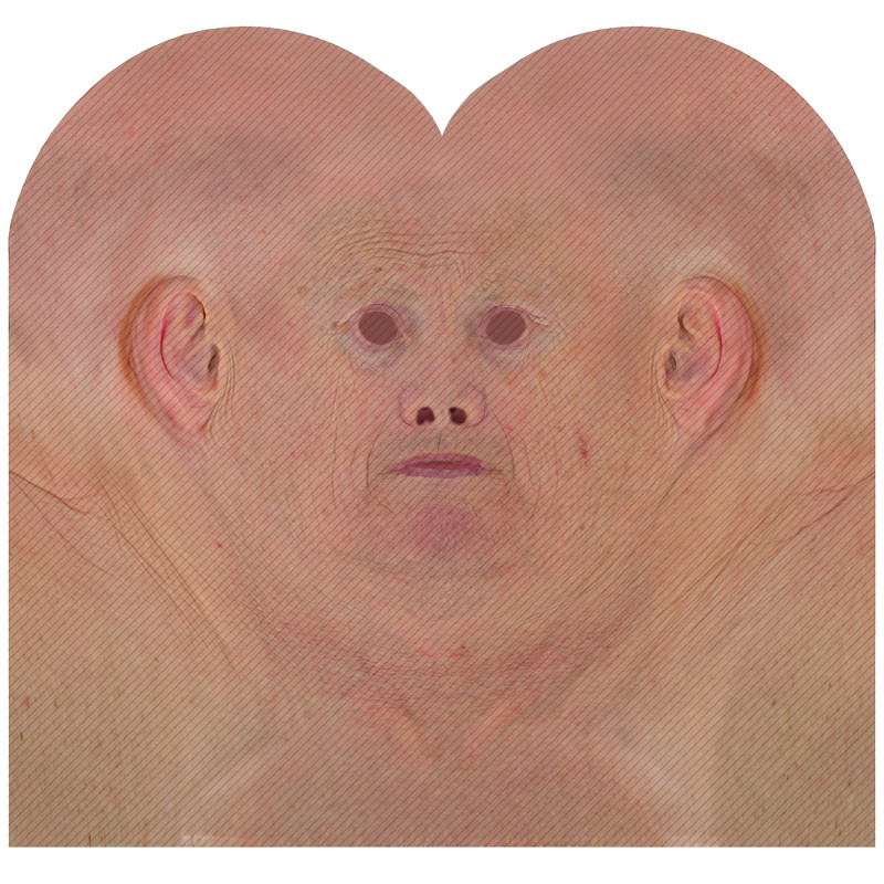 male 3d face texture