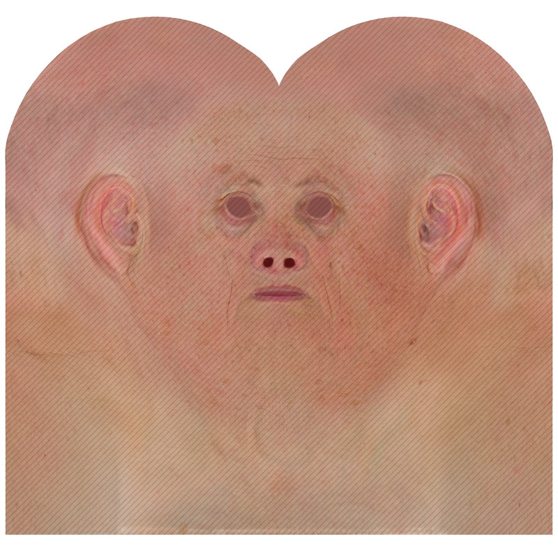 male 3d face texture